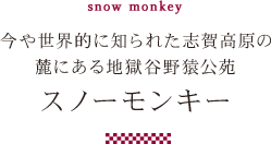 snow monkey今や世界的に知られた志賀高原の麓にある地獄谷野猿公苑スノーモンキー